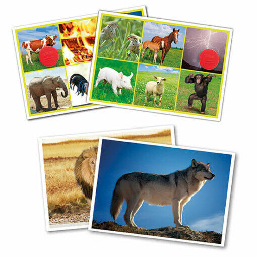 BINGO LA NATURALEZA Y LOS ANIMALES AKROS