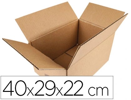 CAJA EMBALAJE CARTON 400X290X220MM 297