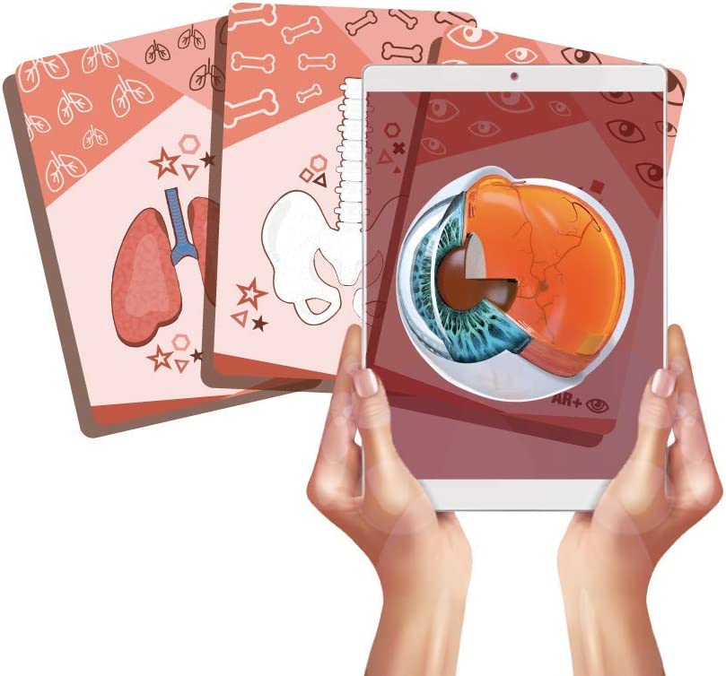 CARTAS EDUCATIVAS AR+ BODY PLANET EDUCATIVAS DEL CUERPO HUMANO CON REALIDAD AUMENTADA