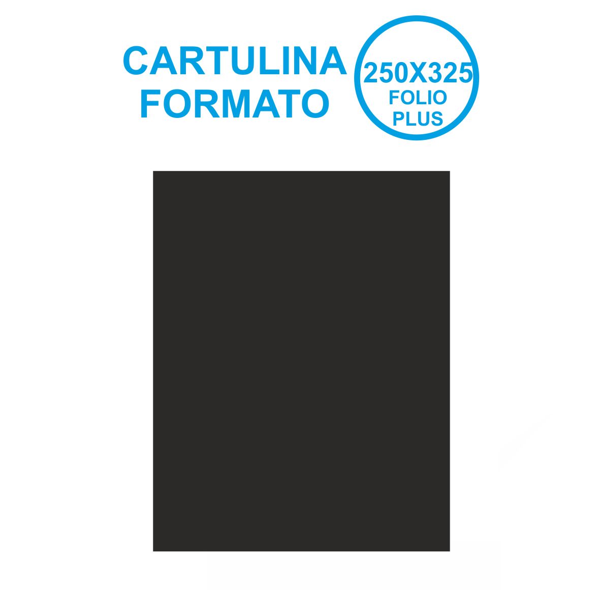 CARTULINA 250X325MM NEGRO