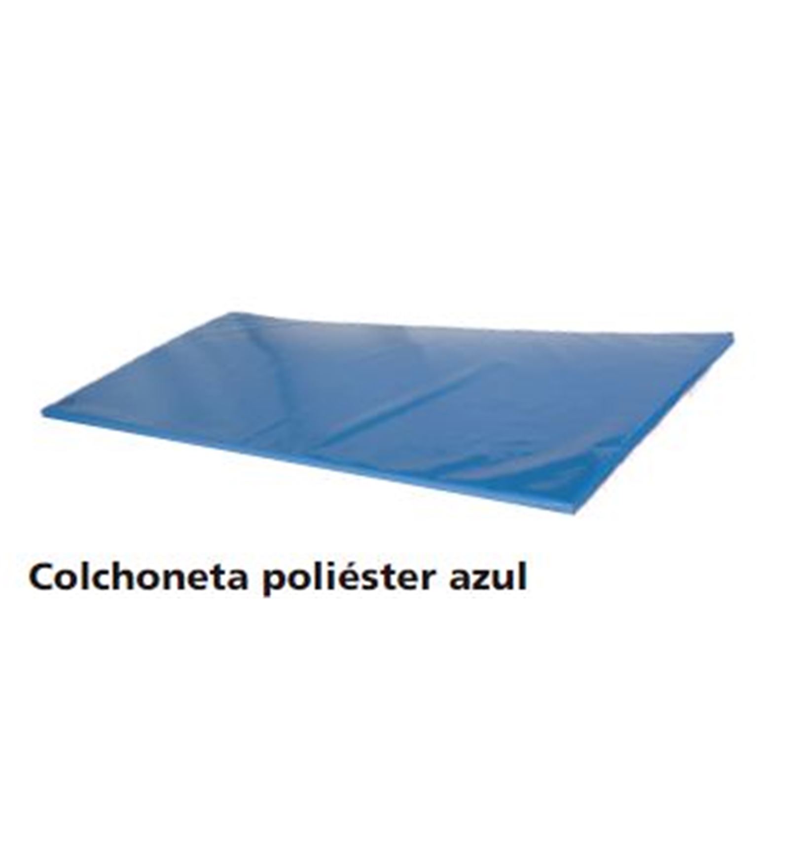 COLCHONETA POLIESTER AZUL *** 200X100X15CM ***