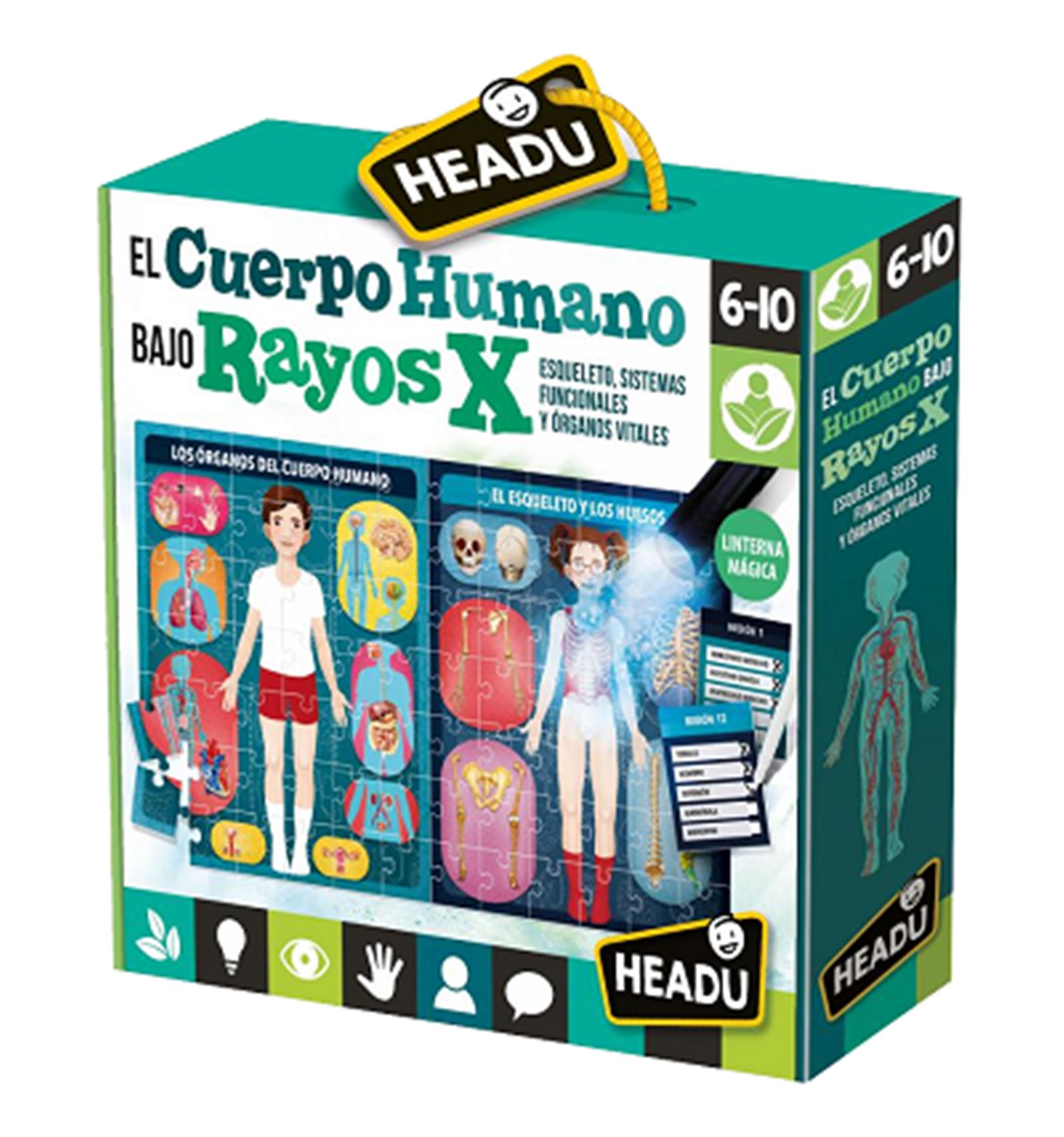 EL CUERPO HUMANO: RAYOS X