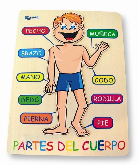 ENCAJE CUERPO HUMANO ANDREU TOYS REF. 16412