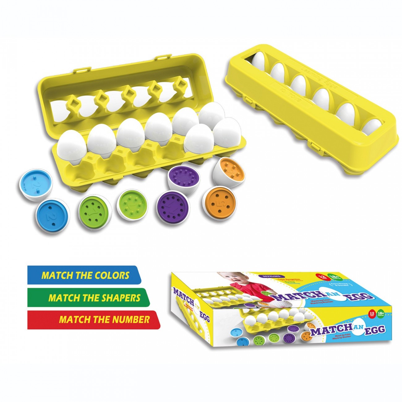 HUEVOS DE COLORES CON NUMERACION INTERNA EGGS GANE SET DE 12 HUEVOS + HUEVERA REF: 41126000