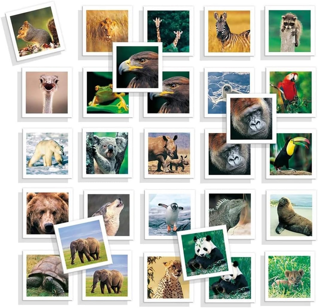 MEMO PHOTO ANIMALES