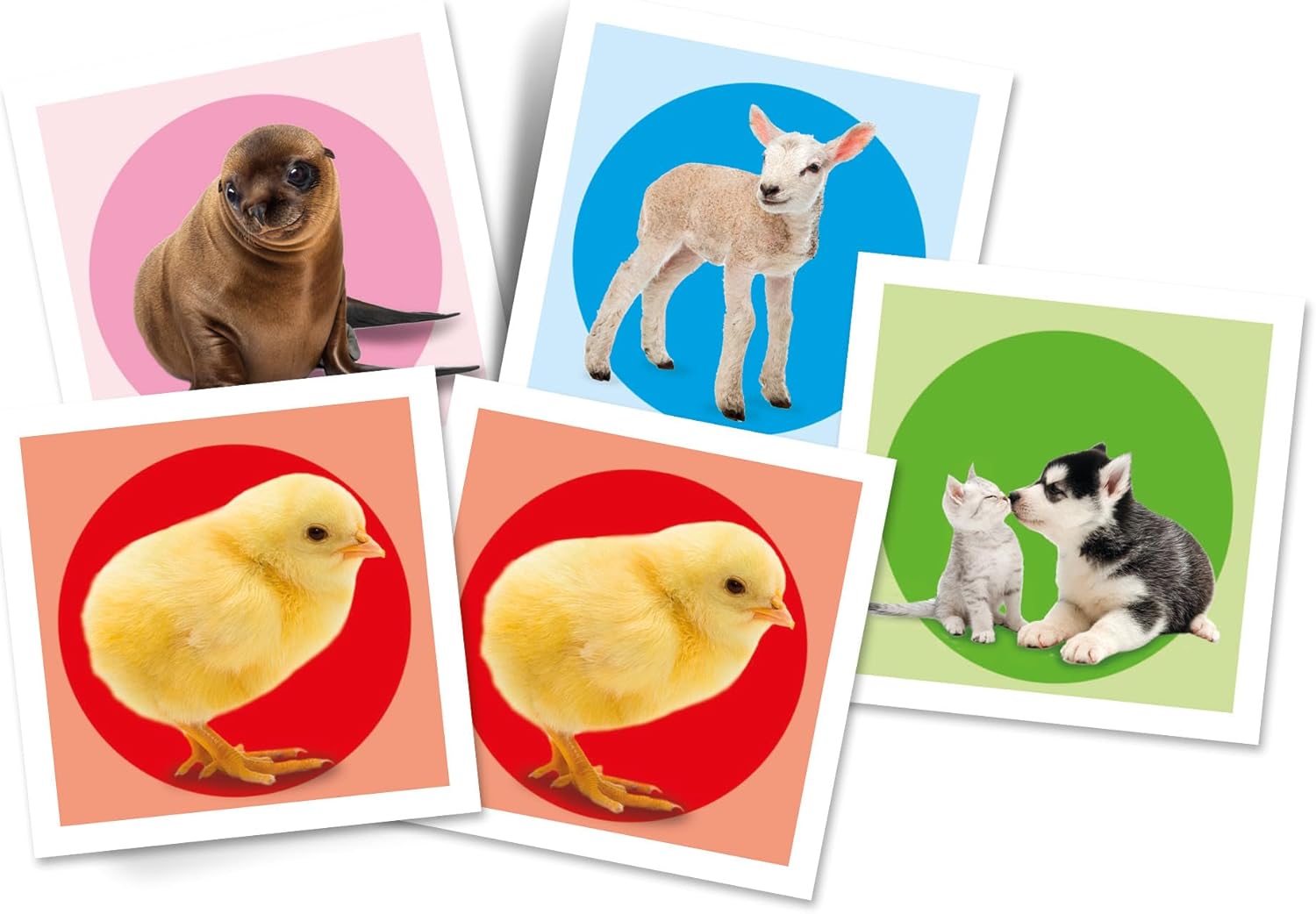MEMO POCKET BABY ANIMALS CLEMENTONI