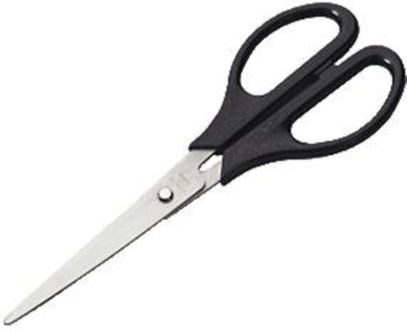 TIJERAS PROFESOR DE 21 CM FAIBO